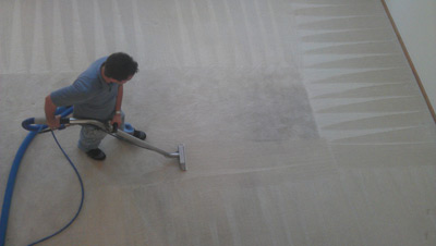 Steve's Carpet Care and Restoration in Action